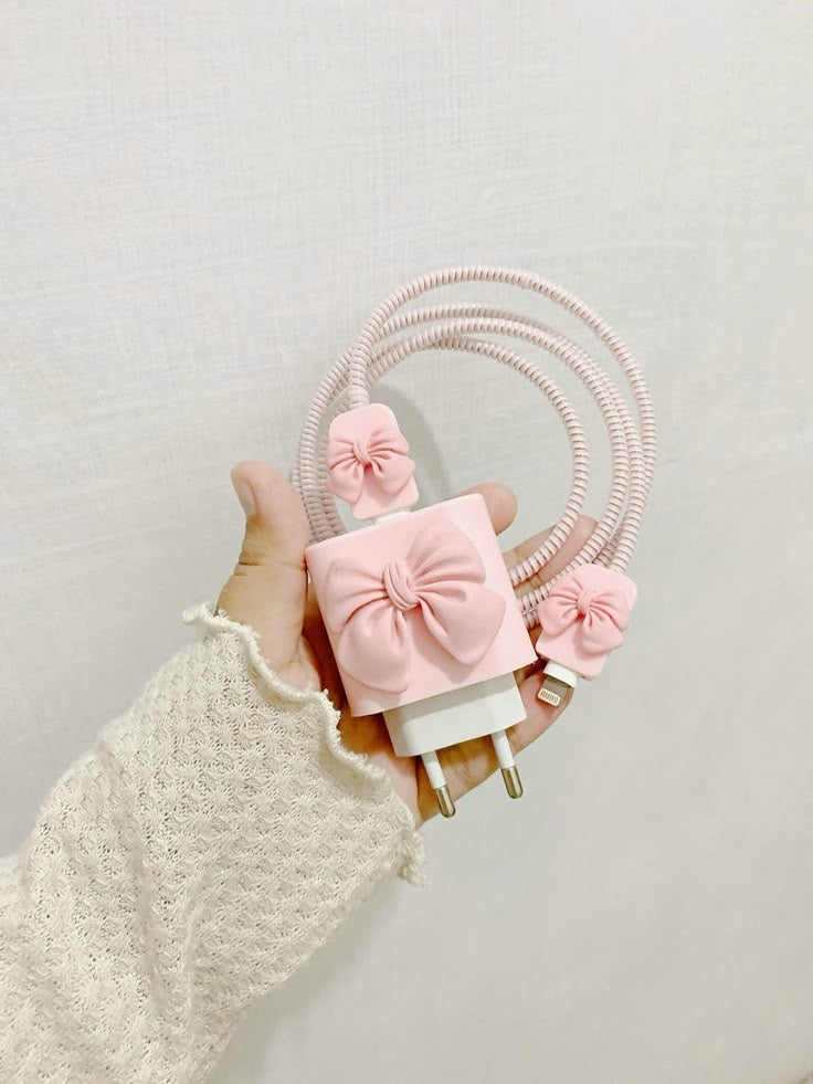 Charger Case